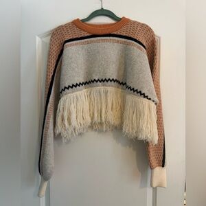 Cider Multicolor Fringed Turtleneck Sweater